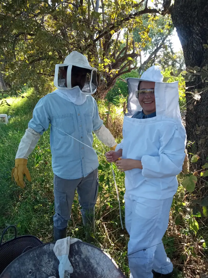 Dos personas con traje de apicultura entre abejas