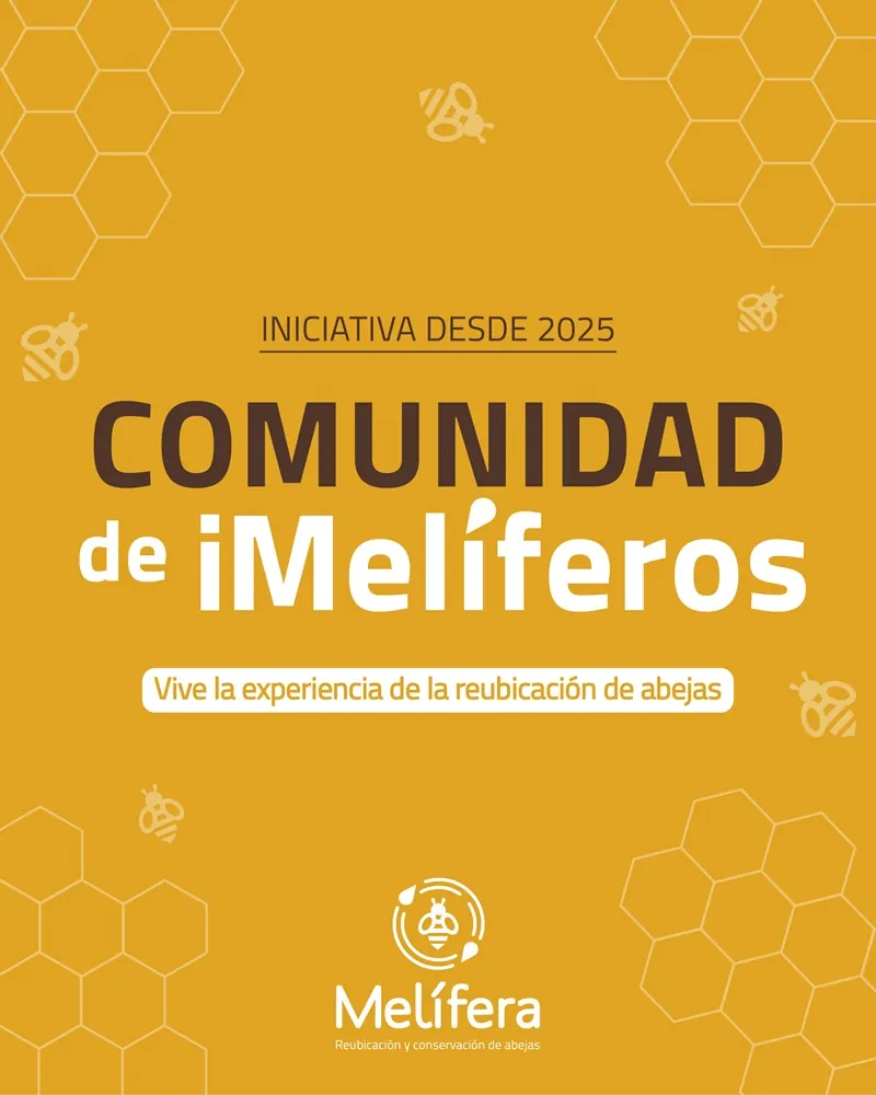 Comunidad de iMelíferos, iniciativa desde 2025